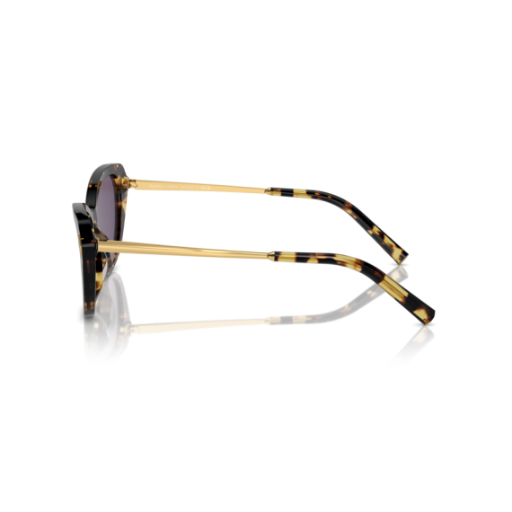 Ralph Lauren RL 8224U 50041A Güneş Gözlüğü, Resim 2