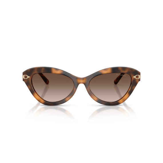 Ralph Lauren RL 8236U 608913 Güneş Gözlüğü, Resim 6