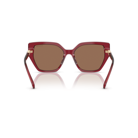 Swarovski SK 6016 105573 Güneş Gözlüğü, Resim 4