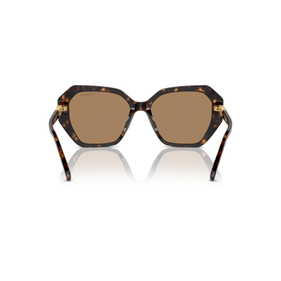 Swarovski SK 6017 1002M4 Güneş Gözlüğü, Resim 4