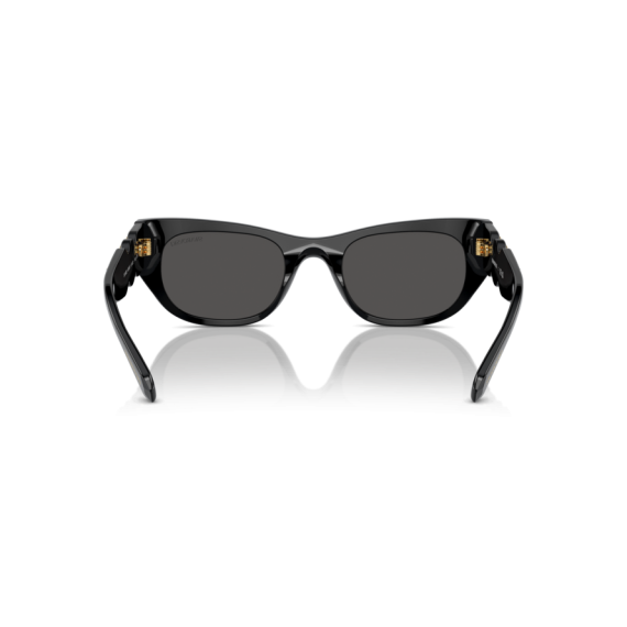 Swarovski SK 6022 100187 Güneş Gözlüğü, Resim 3