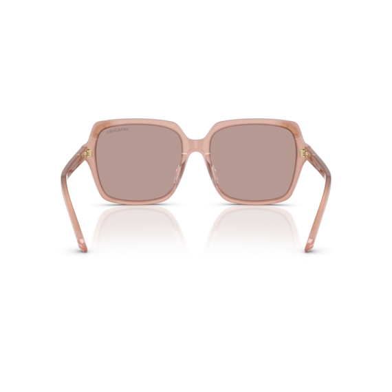 Swarovski SK 6034D 10257N Güneş Gözlüğü, Resim 4