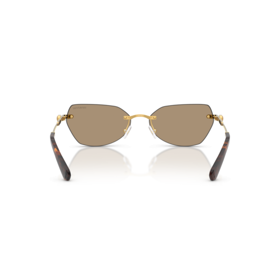 Swarovski SK 7038 40077J Güneş Gözlüğü, Resim 4