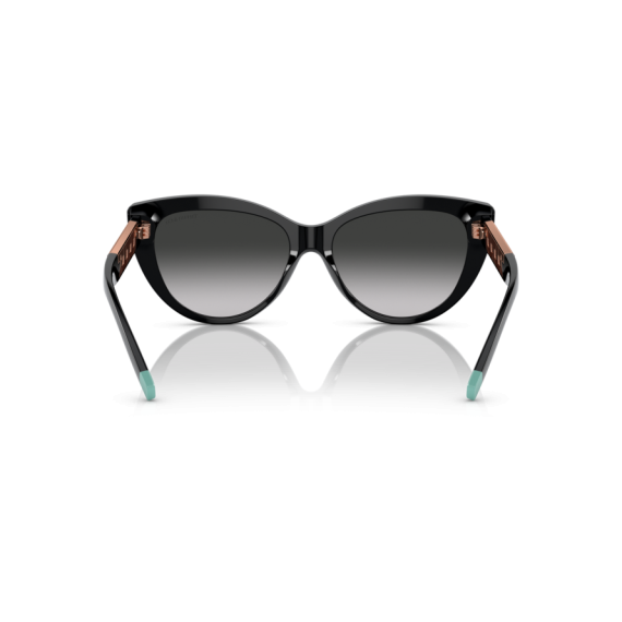 Tiffany TF 4196 80013C Güneş Gözlüğü, Resim 4