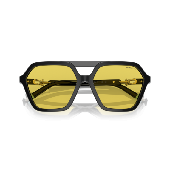 Tiffany TF 4198 800185 Güneş Gözlüğü, Resim 8
