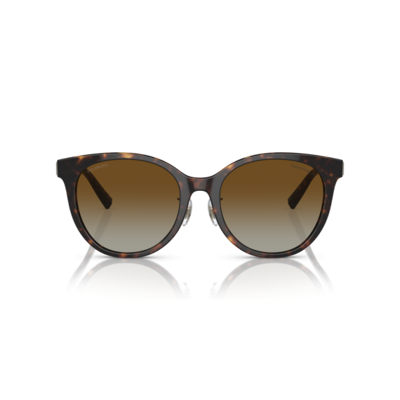 Tiffany TF 4209D 8015T5 Güneş Gözlüğü, Resim 6