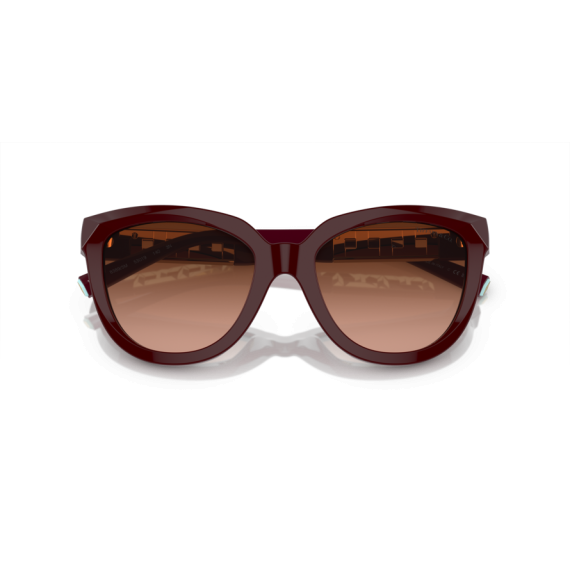 Tiffany TF 4215 83895M Güneş Gözlüğü, Resim 5