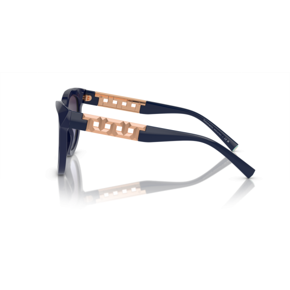 Tiffany TF 4215 83964Q Güneş Gözlüğü, Resim 2