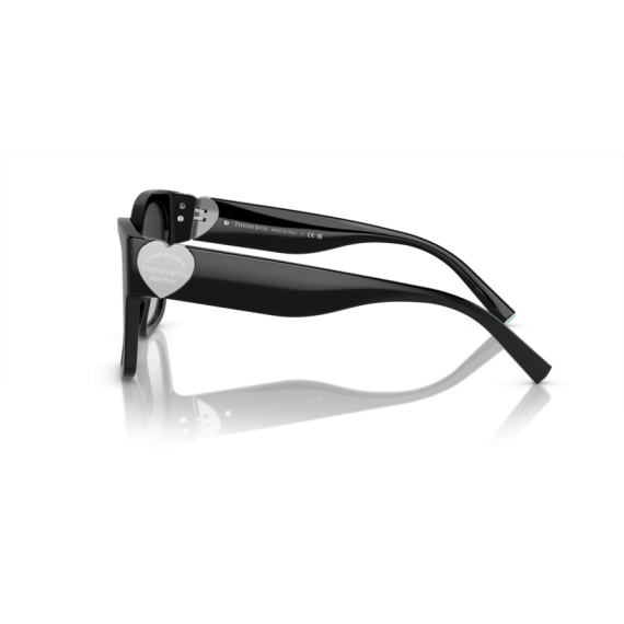 Tiffany TF 4216 80013C Güneş Gözlüğü, Resim 2