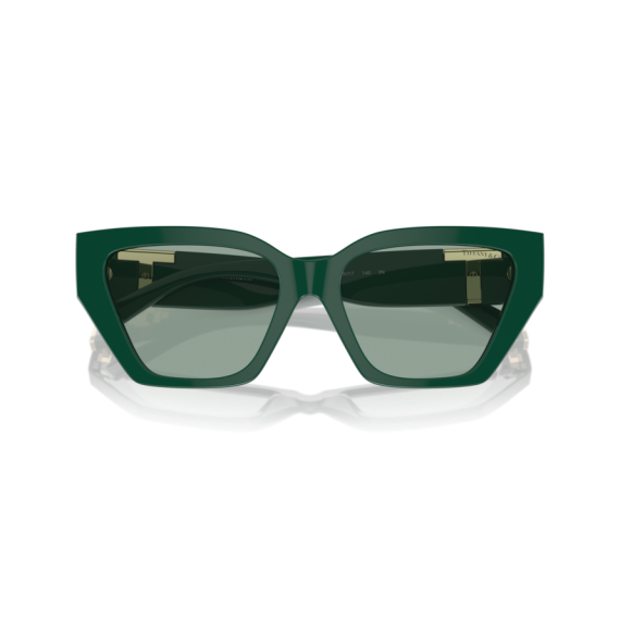 Tiffany TF 4218 840882 Güneş Gözlüğü, Resim 5