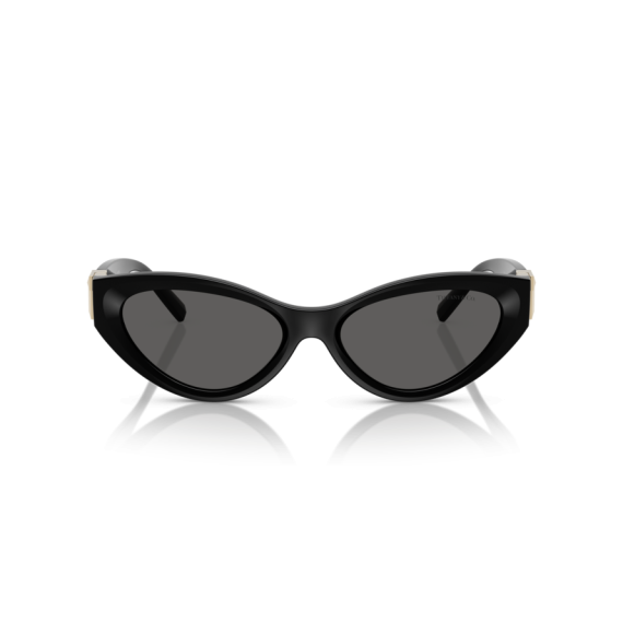 Tiffany TF 4225U 8001S4 Güneş Gözlüğü, Resim 6