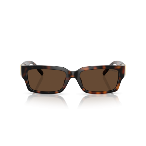 Tiffany TF 4226U 80153G Güneş Gözlüğü, Resim 6