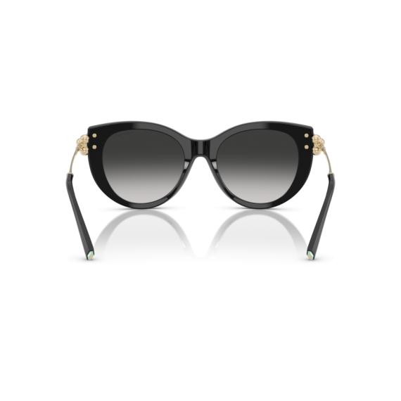 Tiffany TF 4232 80013C Güneş Gözlüğü, Resim 4