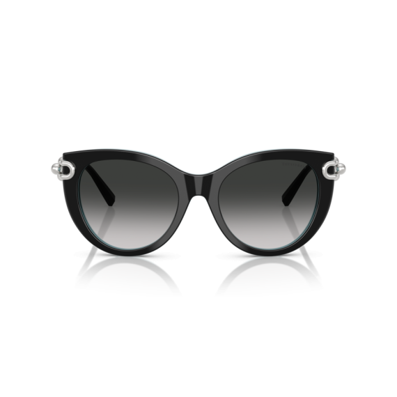 Tiffany TF 4232 80553C Güneş Gözlüğü, Resim 6