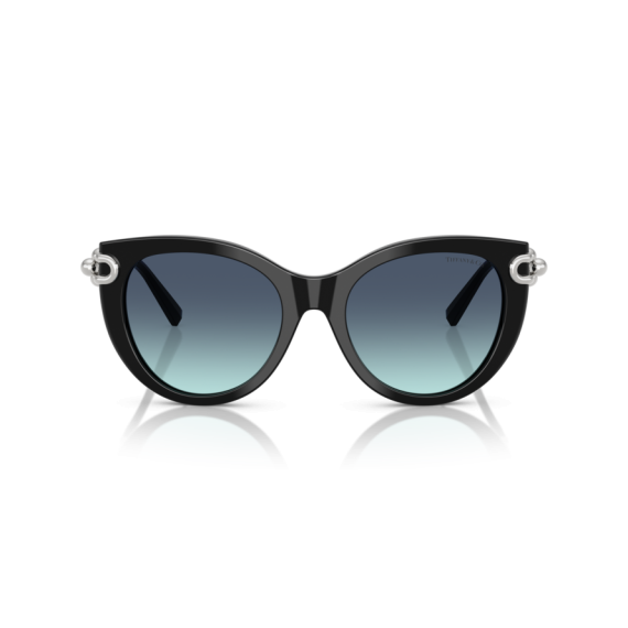 Tiffany TF 4232 83429S Güneş Gözlüğü, Resim 6