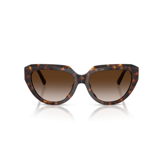 Tiffany TF 4238U 80153B Güneş Gözlüğü, Resim 6