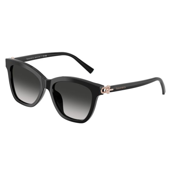 Tiffany TF 4241D 80013C Güneş Gözlüğü, Resim 10