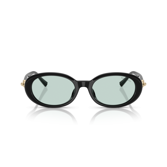 Tiffany TF 4242D 8001D9 Güneş Gözlüğü, Resim 6
