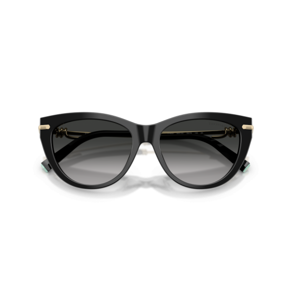 Tiffany TF 4253 80013C Güneş Gözlüğü, Resim 8