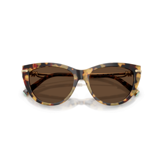 Tiffany TF 4253 80643G Güneş Gözlüğü, Resim 8