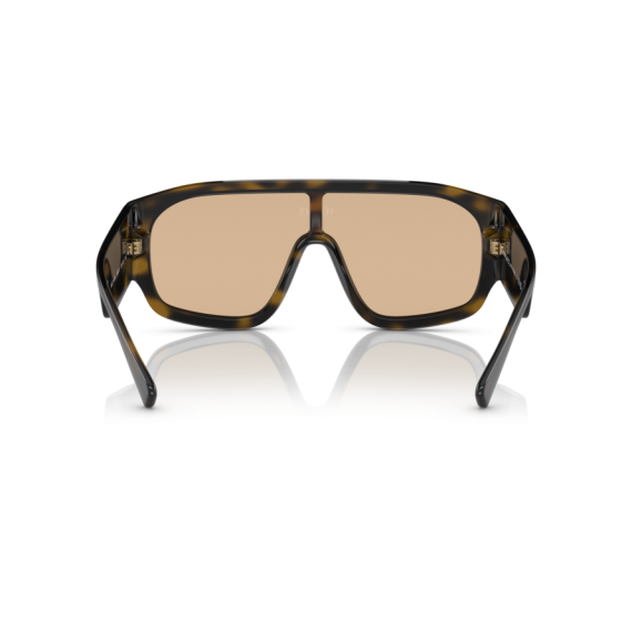 Versace VE 4439 108/73 Güneş Gözlüğü, Resim 3
