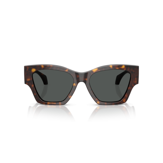 Versace VE 4492U 108/87 Güneş Gözlüğü, Resim 6