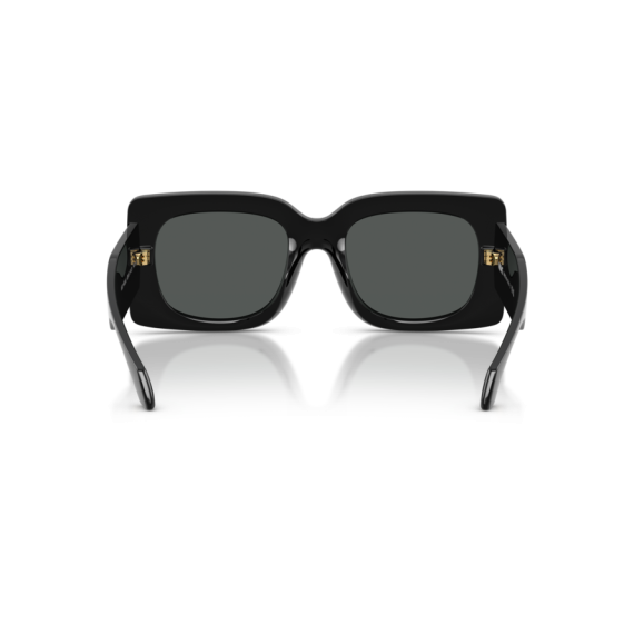 Versace VE 4496U GB1/87 Güneş Gözlüğü, Resim 4