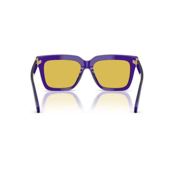 Versace VE 4498 554585 Güneş Gözlüğü, Resim 4