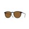 Oliver Peoples OV 5183S 166653 Güneş Gözlüğü, Resim 15