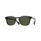 Oliver Peoples OV 5298SU 167752 Güneş Gözlüğü, Cinsiyet: Unisex, Ekartman: 53, Resim 13