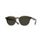 Oliver Peoples OV 5454SU 1724P1 Güneş Gözlüğü, Resim 13