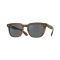 Oliver Peoples OV 5546SU 1753W5 Güneş Gözlüğü, Resim 13