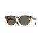 Oliver Peoples OV 5547SU 1778R5 Güneş Gözlüğü, Resim 13