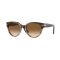 Persol PO 3287S 115851 Güneş Gözlüğü, Resim 7