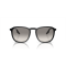 Ray-Ban RB 2203 901/32 Güneş Gözlüğü, Cinsiyet: Unisex, Ekartman: 52, Resim 9