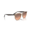 Ray-Ban RB 4306 678846 Güneş Gözlüğü, Resim 7