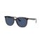 Ray-Ban RB 4378 710/80 Güneş Gözlüğü, Resim 13