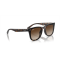 Ray-Ban RB 4420 710/13 Güneş Gözlüğü, Resim 7