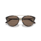 Ralph Lauren RL 8210 50025W Güneş Gözlüğü, Resim 9
