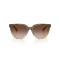 Burberry BE 4469 420113 Güneş Gözlüğü, Resim 4