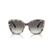 Emporio Armani EA 4214U 605811 Güneş Gözlüğü, Resim 4
