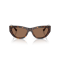 Jimmy Choo JC 5034BU 500273 Güneş Gözlüğü, Resim 4