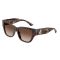 Jimmy Choo JC 5039BU 500213 Güneş Gözlüğü, Resim 6