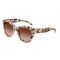 Jimmy Choo JC 5053 508013 Güneş Gözlüğü, Resim 6