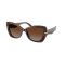 Michael Kors MK 2258U 4031T5 Güneş Gözlüğü, Resim 6