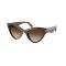 Michael Kors MK 2259U 403113 Güneş Gözlüğü, Resim 6