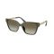 Michael Kors MK 2263U 39023M Güneş Gözlüğü, Resim 6