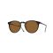 Oliver Peoples OV 5183S 166653 Güneş Gözlüğü, Resim 8