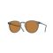 Oliver Peoples OV 5183S 178253 Güneş Gözlüğü, Resim 7