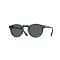 Oliver Peoples OV 5217S 1031P2 Güneş Gözlüğü, Cinsiyet: Unisex, Ekartman: 47, Resim 7